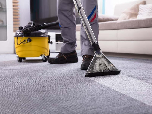 capet cleaning professionals