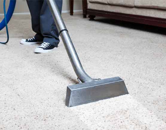 professional carpet cleaning grange service